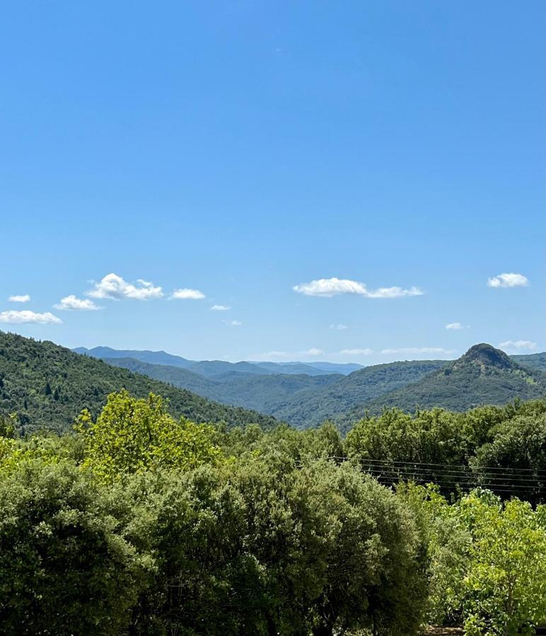 Panthoron Tzoumerka Vourgareli Esterno foto